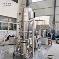 Granulateur de lit fluidisé FL Machine de granulation instantanée de particules norme GMP