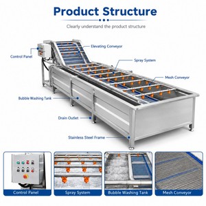 เครื่องล้างกล้วยและมะม่วงแบบฟองอากาศ JOYSHINE ขายดีในฟิลิปปินส์ - Product Image 4