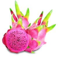 Verse natuurlijke zoete drakenvruchten, roze rode schil, wit vlees, kwaliteit 60 dagen houdbaarheid, Ninh Thuan Vietnam. WHATSAPP 0084 989 322 607