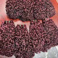 Vente en gros à prix réduit # 1B Raw SDD Pixie Curly Burmese Curly 100% Cheveux Humains, Lots de Mèches Tressées pour Femmes Noires, Mèches Pixie à Tresser