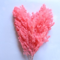 Buket Bunga Sentuhan Asli Romantis Yang Diawetkan Asparagus Myrioeladus Ming Fern Bunga Tahan Lama DIY Bayi Pampas Asparagus