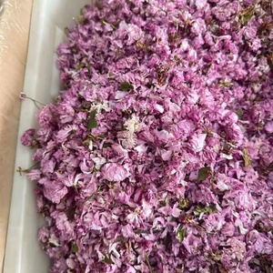 Thé de fleurs de <span class=keywords><strong>cerisier</strong></span> séchées Premium 500g/sac <span class=keywords><strong>Prunus</strong></span> Serrulata Saveur naturelle japonaise Thé santé brut en vrac Boîte Bouteille - Product Image 2