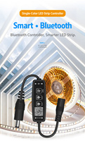 Pengontrol Lampu LED Strip Monokrom DC 5-24V dengan Kontrol Aplikasi Pintar, Penyesuaian Kecerahan, dan Timer