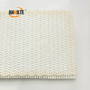 Sabuk Konveyor Mesin Bergelombang Annilte - Sabuk dengan Daya Cengkeram Tinggi, Peregangan Rendah untuk Lini Produksi Karton - Product Image 3