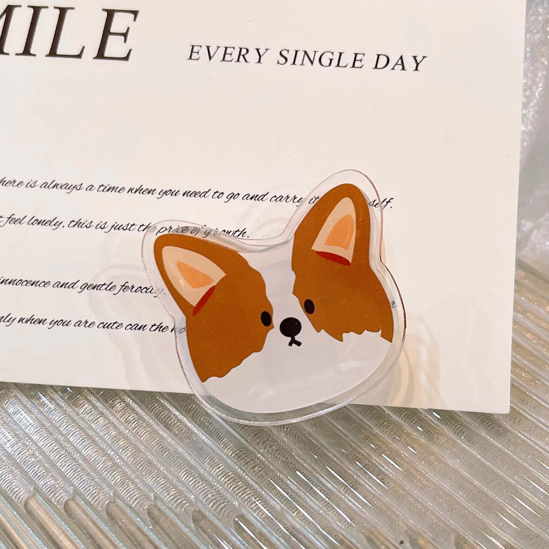 Corgi dog