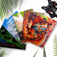 3d raster image tridimensionnelle transformation flash carte changement carte postale impression de carte 3D