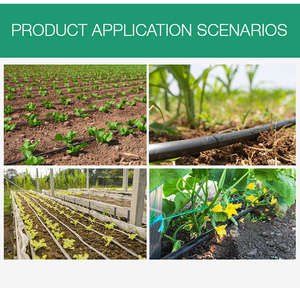 Nastro per Irrigazione a Goccia con Micro-Irrigatori a Foro Singolo/Doppio a Emissione Uniforme Personalizzabile per Coltivazioni Ortaggioline Biologiche - Product Image 4