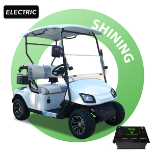 Shininglsv giá rẻ 2 Seate Golf điện giỏ hàng để bán bạn thân - Product Image 1