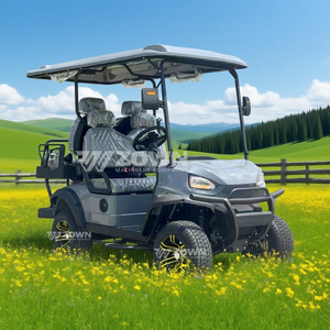 Carrito de golf eléctrico premium para 4 pasajeros, elevado, para servicio de transporte en áreas panorámicas al aire libre - Product Image 2