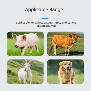 Analizador de semen, Analizador de calidad de esperma veterinario, cerdo, perro, ganado, oveja, Kit de análisis de esperma, Analizador de esperma portátil - Product Image 3