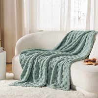 Couverture Polaire Jacquard Teddy pour Adulte, Taille Double, Vente en Gros Usine, 100% Polyester, Anti-Boulochage, Ignifuge