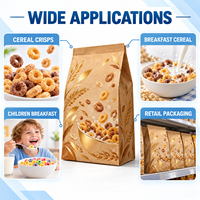 Sachet personnalisé en papier kraft sans fenêtre pour céréales et chips, scellé sur huit côtés, avec marquage à chaud, pour la vente au détail et en gros