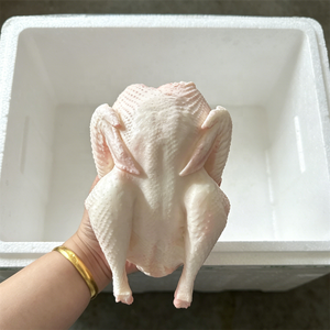 Modelo de Pollo Entero de PU de 21.5cm, Sin Cabeza, Sin Plumas, Réplica de Aves de Corral, Accesorio de Exhibición para Cocina, Decoración para Mercado de Alimentos y Restaurantes - Product Image 3