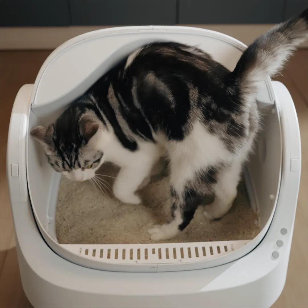 Large space pet cleaning products automatic cleaning cat litter box cat toilet