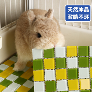 Rabbit Ice Mat: una guía completa sobre almohadillas refrescantes <span class=keywords><strong>para</strong></span> mascotas, un dispositivo refrescante <span class=keywords><strong>para</strong></span> el verano, tapete refrescante <span class=keywords><strong>para</strong></span> <span class=keywords><strong>dormir</strong></span> - Product Image 3