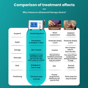 Máquina de fisioterapia de ultrasonido portátil de 2 manijas con certificación CE Clasificación de clase II para alivio del dolor veterinario - Product Image 3