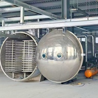 50kg Vriesdroogmachine voor fruit, te koop. Vriesdroger voor bananen, groenten en koffie.