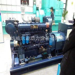 Generador Diésel Weifang de 200 Kw, 400/230 V, 50 Hz, 1500 rpm, Módulo Digital, Uso Marino - Product Image 3
