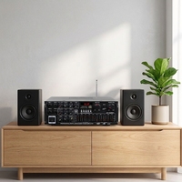 Yüksek Güçlü Stereo Ev & Araba Dış Mekan Karaoke Amfisi 12V/220V EQ Ekolayzırlı - Toptan Satış Mevcut