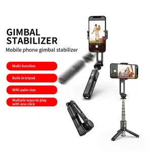 Lumière de remplissage intégrée Mini stabilisateur de cardan sans fil Selfie Stick trépied sans fil à distance Portable Tiktok v-log Live Stream L18S