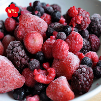 IQF Gemengde zoete bessen bulkmix fruit aardbei framboos bramen