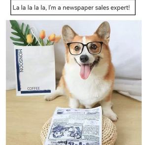 Nuovo Giocattolo da Masticare per Cani Ecologico con Suono, Design alla Moda con Motivo Giornale/Poker per Alleviare il Dolore da Dentizione - Product Image 2