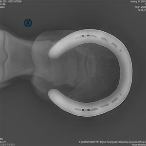 Appareil <span class=keywords><strong>de</strong></span> radiologie vétérinaire portable DR Digital Systems, machine à rayons X numérique mobile 5,6 kW pour clinique vétérinaire - Product Image 5