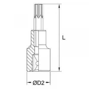 FERVI - BN425N010A 1/4'' <b>Torx</b> <b>bit</b> socket - EAN 8012667281403 HAND SOCKETS 1/4" - Product Image 2
