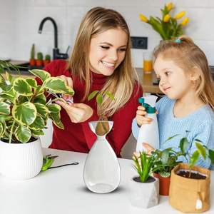 वेस ग्लास एवोकैडो प्लांट स्टार्टर ग्लास वेज़ एवोकैडो पेड़ उगाने वाले पौधे ग्लास वेस - Product Image 5