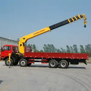 Xuzhou 10 톤 SQS250-5 텔레스코픽 붐 트럭 크레인