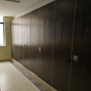 Thiết kế hiện đại 12-18mm HPL tổ ong Composite kim loại tấm thân thiện với môi chống thấm nước chống cháy trường công cộng nhà vệ sinh - Product Image 4