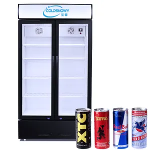 Réfrigérateur présentoir à double portes vitrées Réfrigérateur présentoir commercial Congélateur Pepsi Refroidisseur à porte en verre pour boissons froides commerciales