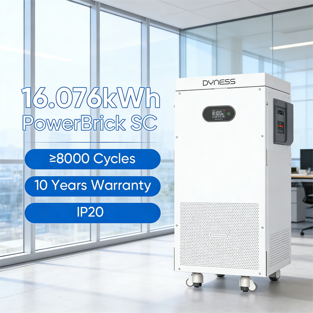 Dyness Power Brick 16.076kWh 51.2V 314Ah LiFePO4 Solar Energy Storage Battery Module Lithium Ion Pack with 8000 Cycles