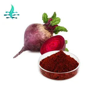 Nhà Máy cung cấp 100% Đỏ beetroot chiết xuất củ cải đường bột cho thực phẩm sắc tố