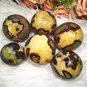 Wholesale Natural Crystal Healing Stones Septarium Sphere With Geode For Decoration
