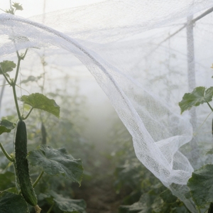 <span class=keywords><strong>Malla</strong></span> Antimosquitos de Protección UV de HDPE de 40, 50 y 60 Mallas para Invernaderos Agrícolas y Cultivo de Plantas al por Mayor - Product Image 4