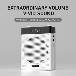 Mini haut-parleur personnel <span class=keywords><strong>portable</strong></span> rechargeable avec microphone sans fil, <span class=keywords><strong>amplificateur</strong></span> <span class=keywords><strong>de</strong></span> <span class=keywords><strong>voix</strong></span> pour enseignant - Product Image 3