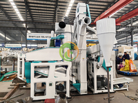 Ligne de fraisage de riz 1 tonne par heure Machine de blanchiment de dénoyauteur de riz