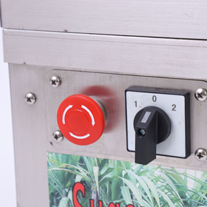 Máquina Extractora de Jugo y Trituradora de Caña de Azúcar de Acero Inoxidable de Bajo Precio con Motor de 450W para la Producción de Pulpa de Bagazo - Product Image 4