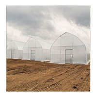 Structure de cadre métallique de serre de tunnel de film plastique à portée unique commerciale à faible coût pour les plantes agricoles