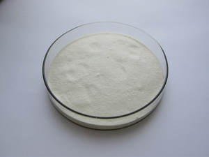 Suplemento para el Cuidado de la Salud Insen Supply, Polvo de Lactobacillus Bulgaricus - Product Image 6