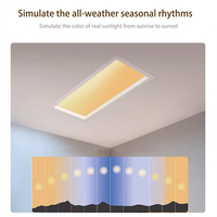 Puits de lumière artificiels Led Smart Blue Sky Lights Simple Modern Lighting Personnalité Plafonnier Moderne Style Nordique Simple Living