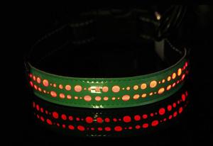 Collares luminosos de nailon para perros, impermeables, con hebilla intermitente, luz nocturna, de seguridad, Led - Product Image 5