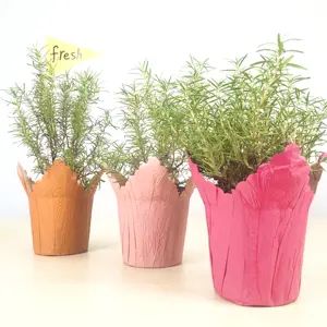 Tampa para vaso de flores de papel Kraft para decoração de casa em cores mistas com tamanho personalizado