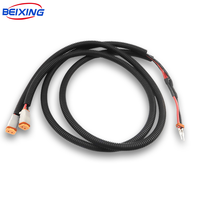 Harnais de câblage automobile personnalisé en PVC imperméable Tyco, assemblage de faisceau de câbles E00299 IP66 12V pour véhicules automobiles et véhicules à énergie nouvelle