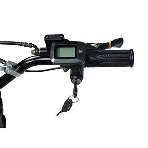 Bici Elettrica Veloce con Motore Centrale Brushless da 2900W di Picco, Lunga Autonomia, Bici Elettrica da Fuoristrada con Display LCD - Product Image 3