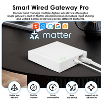 Passerelle Wi-Fi filaire en plastique Golden Security Tuya Matter, compatible avec Google Assistant, pour kit maison intelligente, hôtel, garage, bar