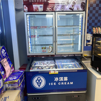 Vitrine Réfrigérée Commerciale à Double Porte Vitrée pour Magasins de Crèmes Glacées, Viandes et Aliments Surgelés
