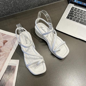 Chinelo Coreano Sexy Multifuncional Antiderrapante com Cadarço e Fecho de Botão em PVC, Amortecimento Leve, Tendência da Moda Animal - Product Image 6