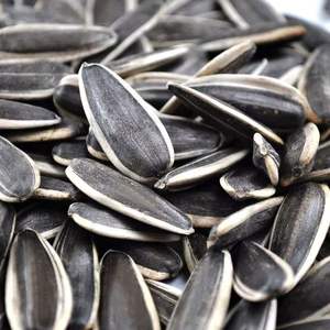 Semi di Girasole Essiccati Crudi in Sacchetto per Uso Alimentare e Agricolo - Product Image 3